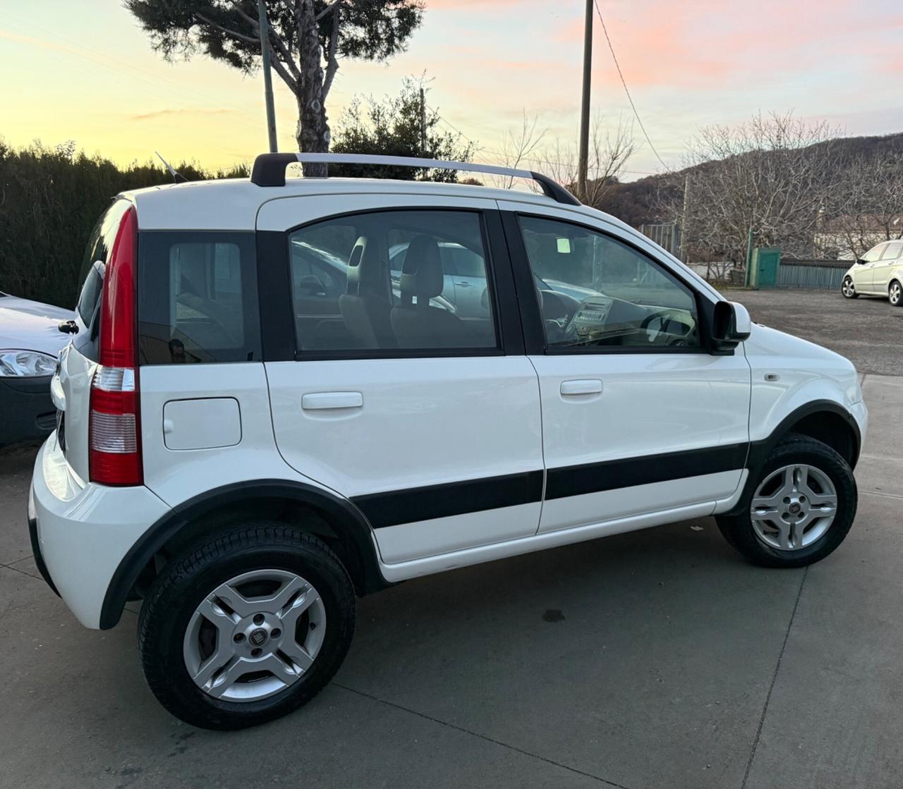 Fiat Panda 1.3 MJT 16V DPF 4x4 Climbing