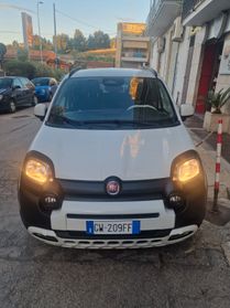Fiat Panda 1.0 FireFly S&S Hybrid Pandina cross
