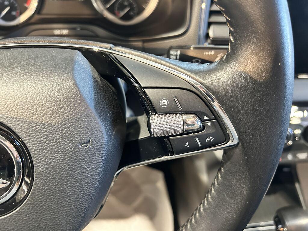 Skoda Karoq 2.0 TDI EVO SCR Executive DSG