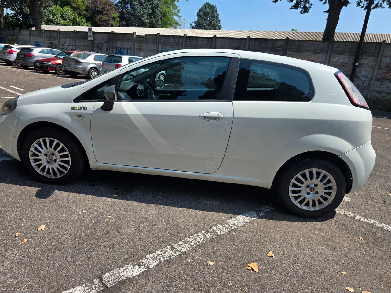 Fiat Punto Evo NEOPATENTATI