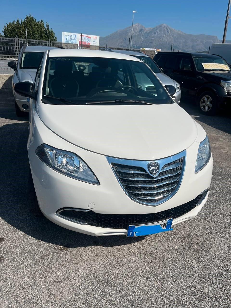 Lancia Ypsilon 1.3 MJT 16V 95 CV 5 porte S&S Elefantino