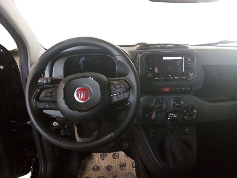 FIAT Panda NEW My25 1.0 70cv Hybrid Panda