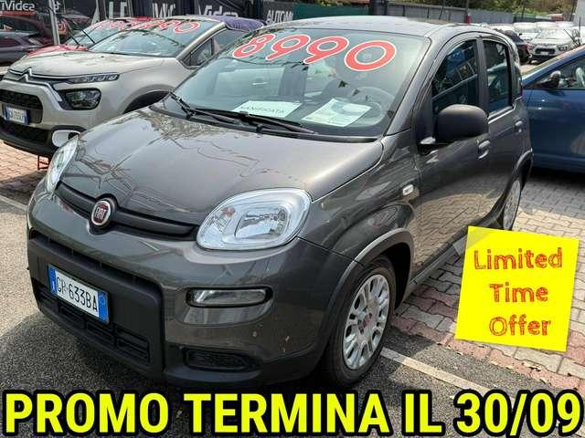 Fiat Panda Panda 1.0 firefly hybrid DISPONIBILI VARI COLORI