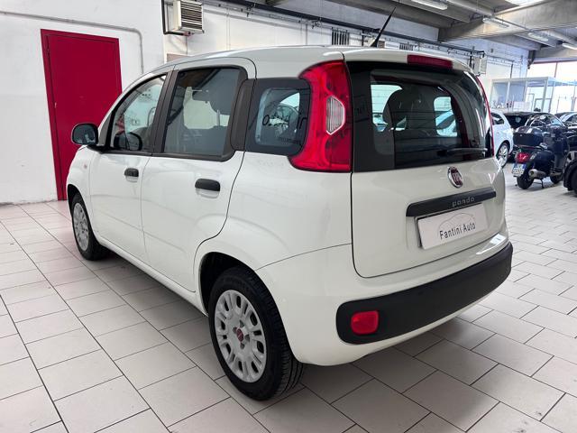 FIAT Panda 1.2 BENZ NEOPATENTATI GARANZIA 12 MESI