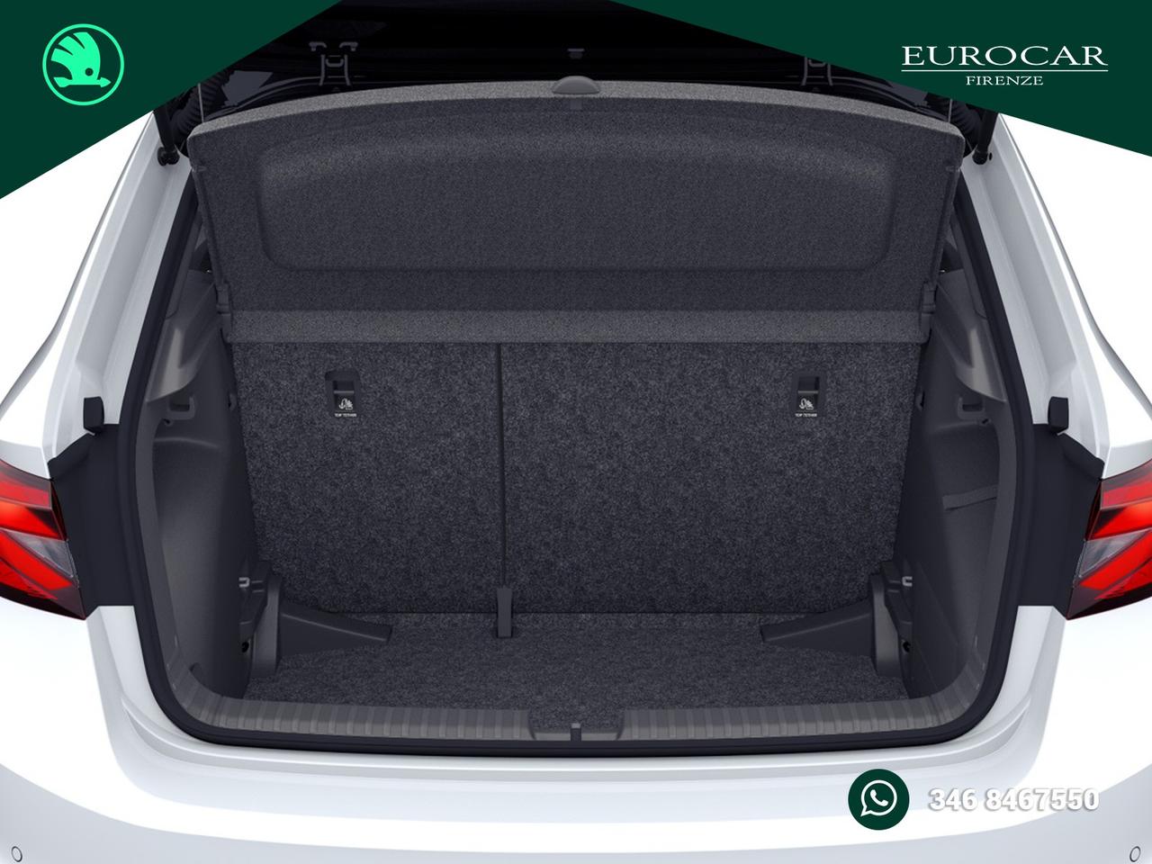 Skoda Fabia 1.0 tsi evo monte carlo 95cv