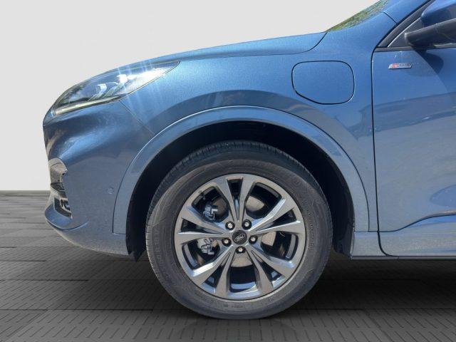 FORD Kuga Kuga 2.5 Plug In Hybrid 225 CV CVT 2WD ST-Line