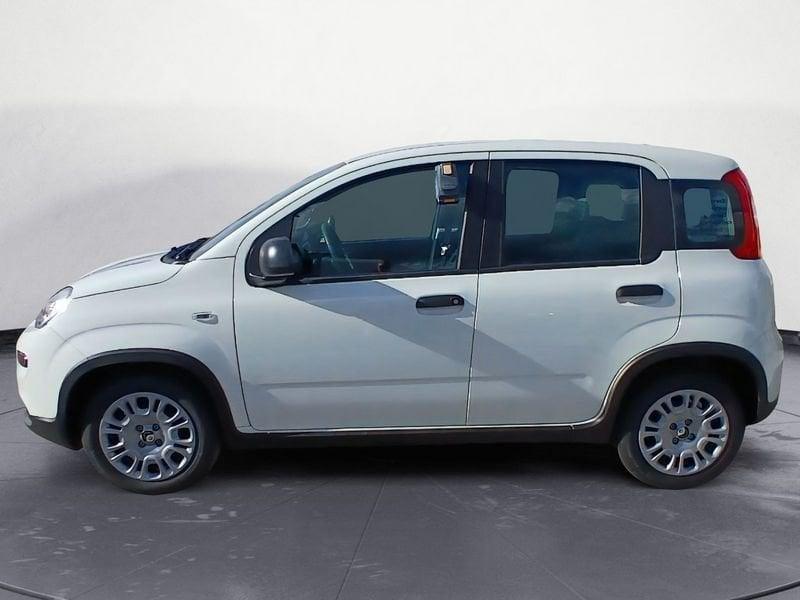 FIAT Panda NEW 1.0 70cv Hybrid Panda