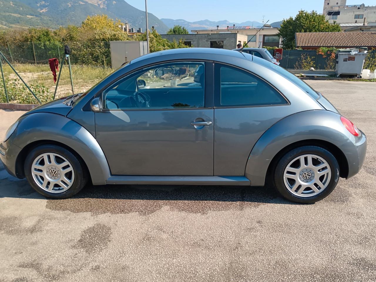 Volkswagen New Beetle 1.9 TDI 105CV