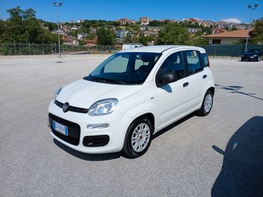 Fiat Panda 1.0 HYBRID 70CV 2021