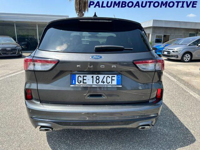 FORD Kuga 1.5 EcoBlue 120 CV 2WD ST-Line