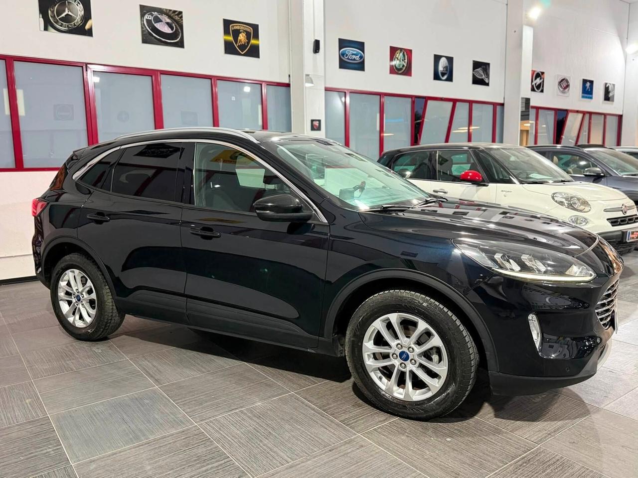Kuga 2.0 EcoBlue 150 CV aut. 2WD Titanium Business 2022