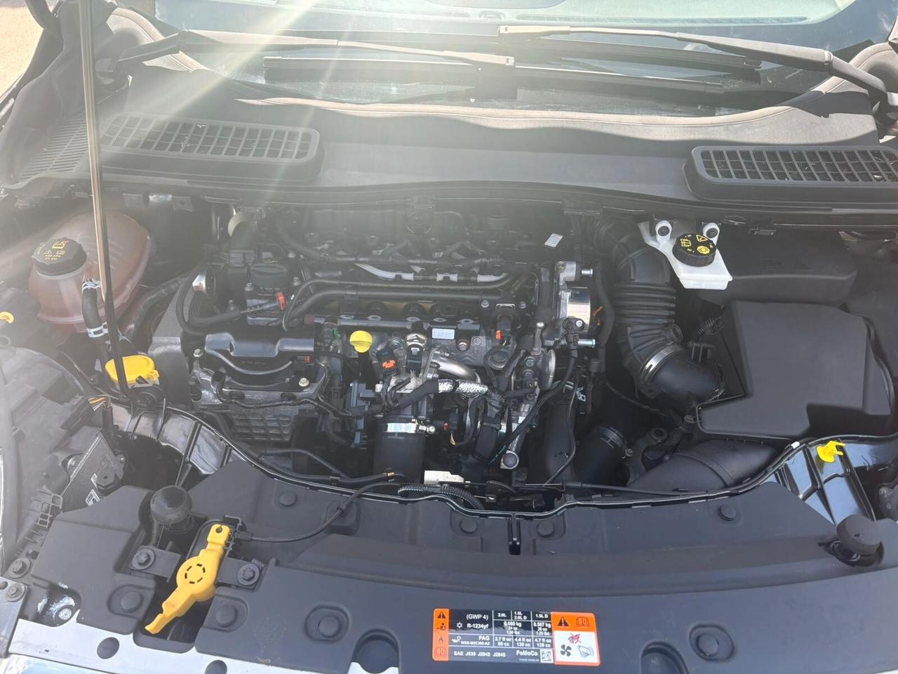 Ford Kuga 2.0 TDCI 120 CV S&S 2WD ST-Line ANNO 2019