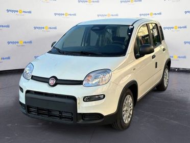 FIAT Panda 1.0 70cv Hybrid Panda