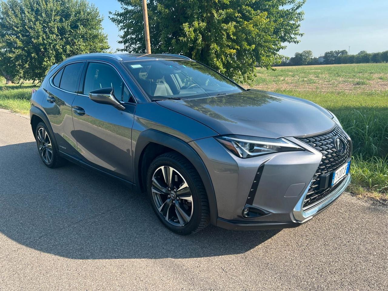 Lexus UX Hybrid 4WD Executive