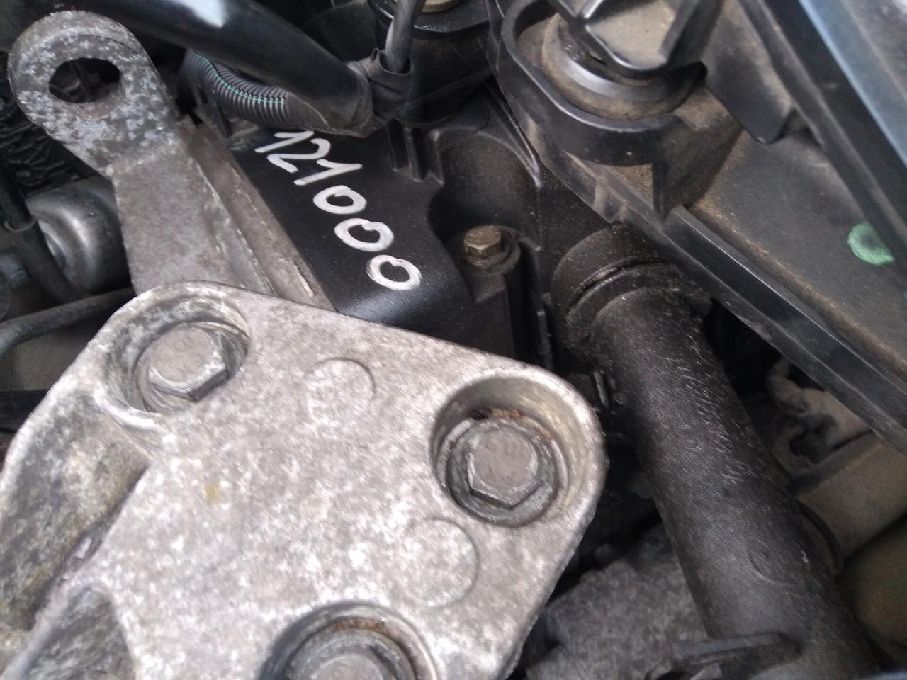 Renault Clio 1.2 16V 75cv 5 porte Luxe x neopatentati