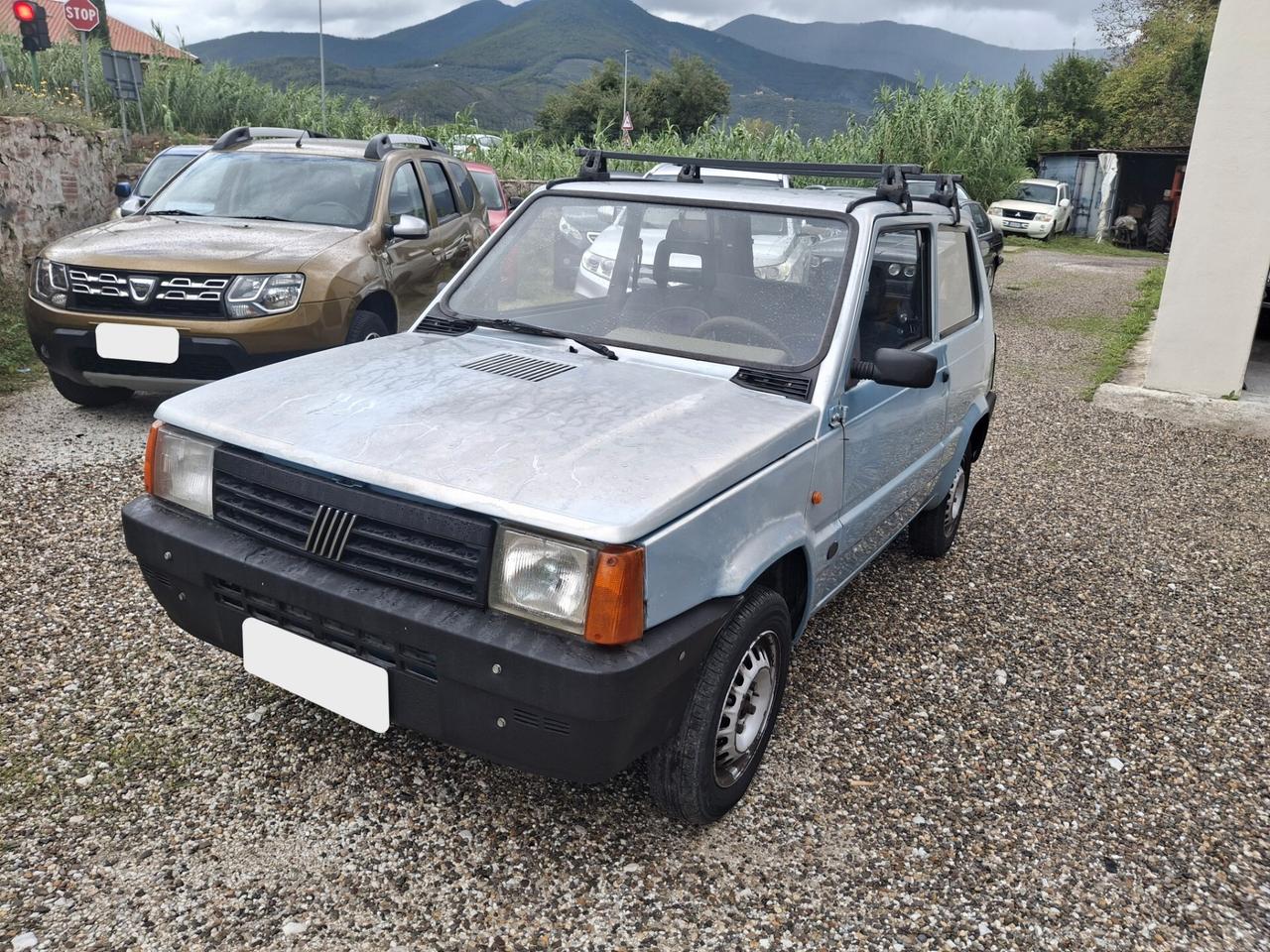 Fiat Panda 1100 i.e. cat Young