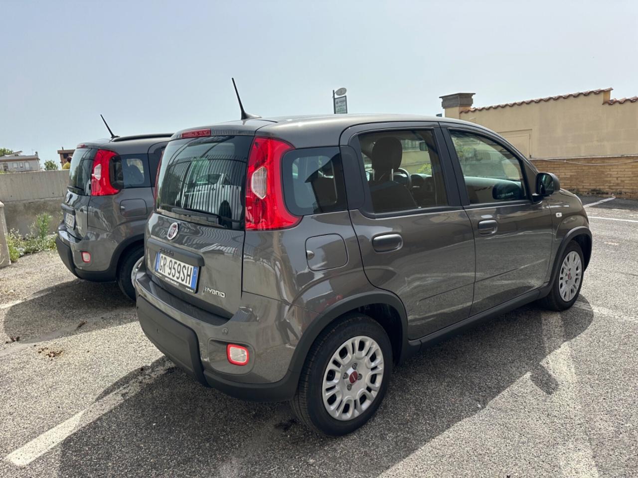 SOLO NOLEGGIO RENT Fiat Panda 1.0 FireFly Hybrid City Life
