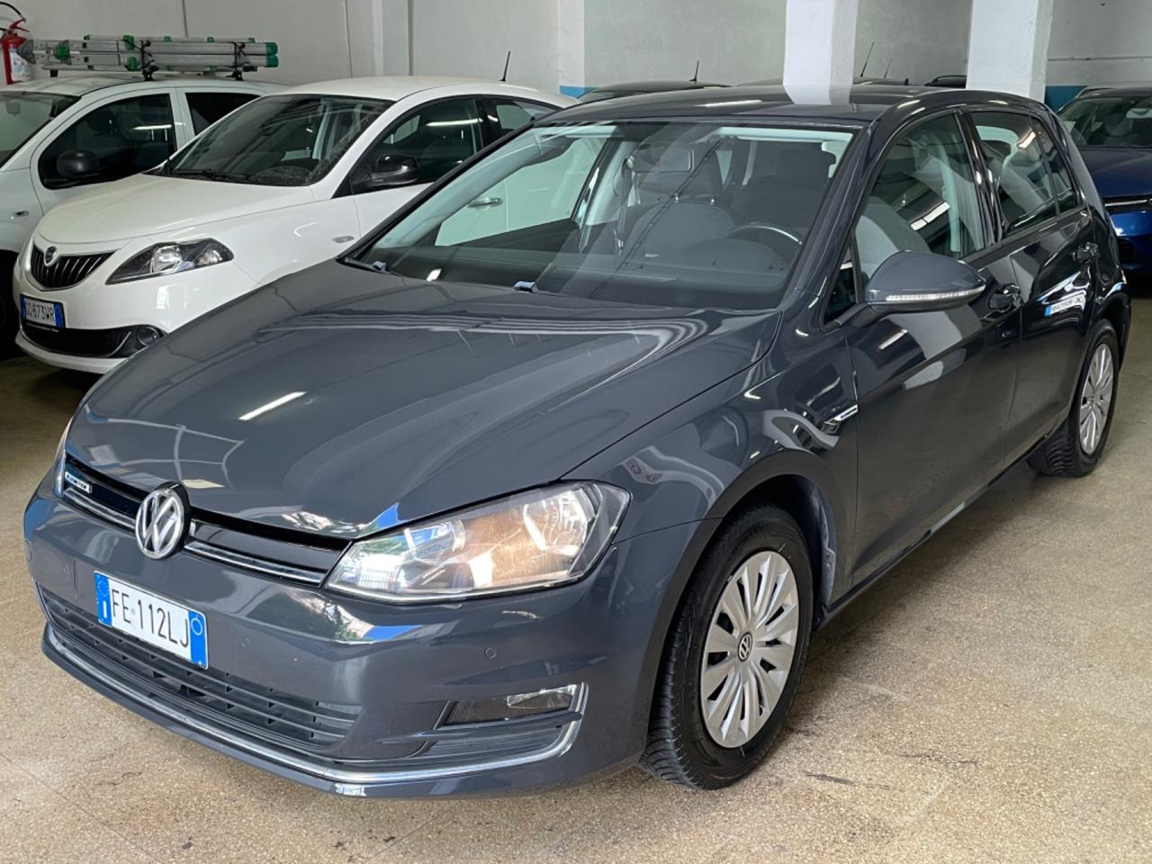 Volkswagen Golf 1.4 TGI 5p. Trendline BlueMotion