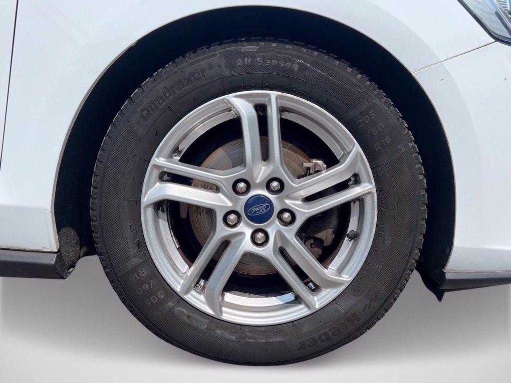 FORD Focus 1.5 ecoblue Plus 95cv del 2018