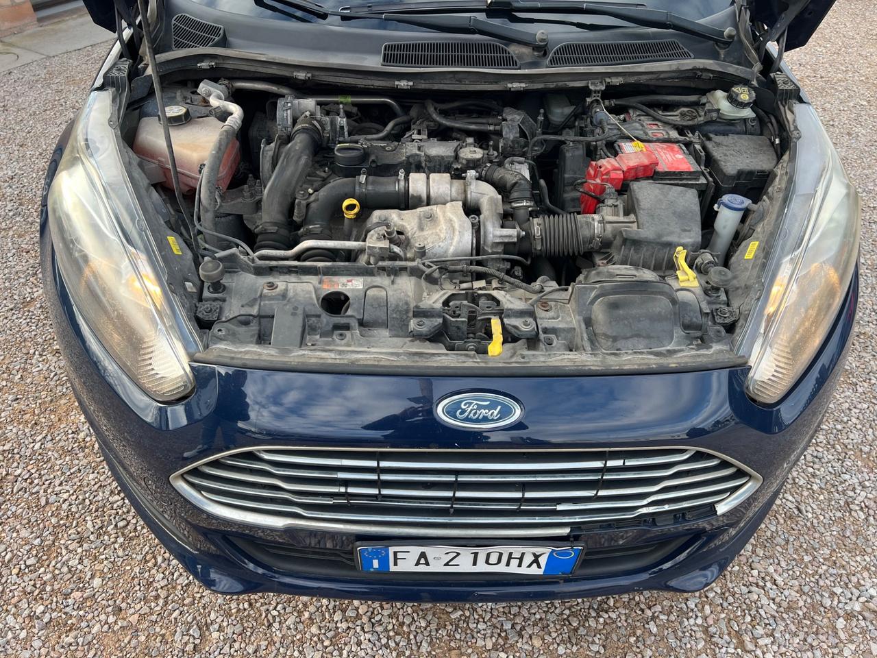 Ford Fiesta 1.5 TDCi 75CV 5 porte Titanium