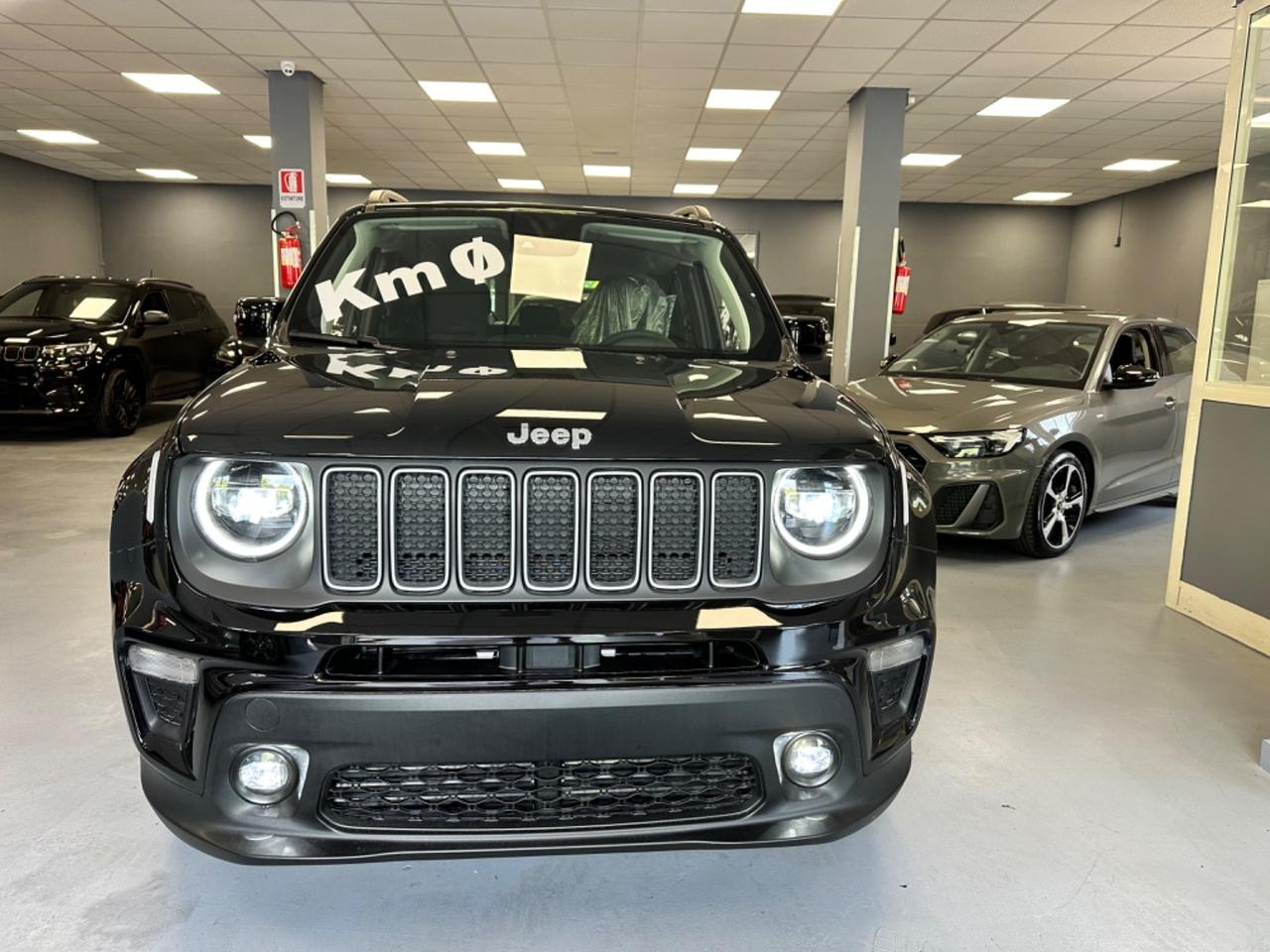 Jeep Renegade 1.6 Mjt 130 CV Limited Accessori