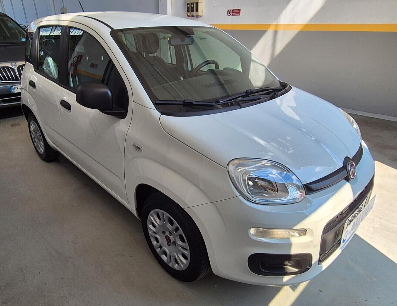 Fiat Panda 1.2 Easy 2019 Unico Proprietario