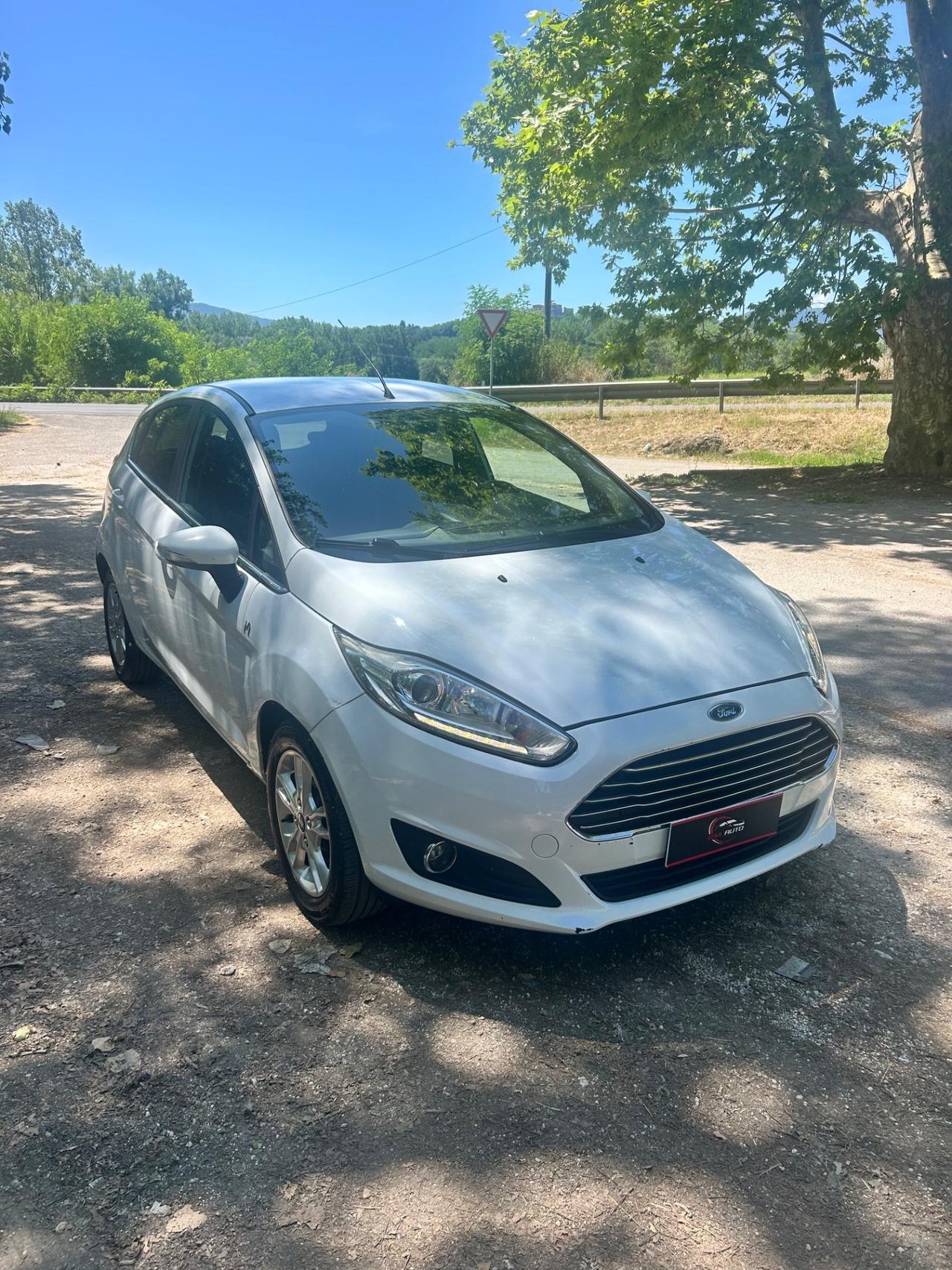 Ford Fiesta 1.4 5 porte Bz.- GPL Black & White Edition