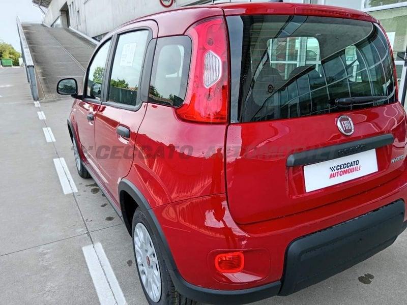 FIAT Panda 1.0 Hybrid 70 cv