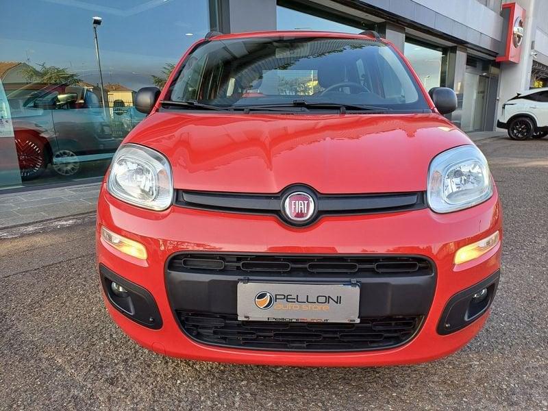 FIAT Panda Panda 1.2 69cv my19 KM CERTIFICATI-GARANZIA