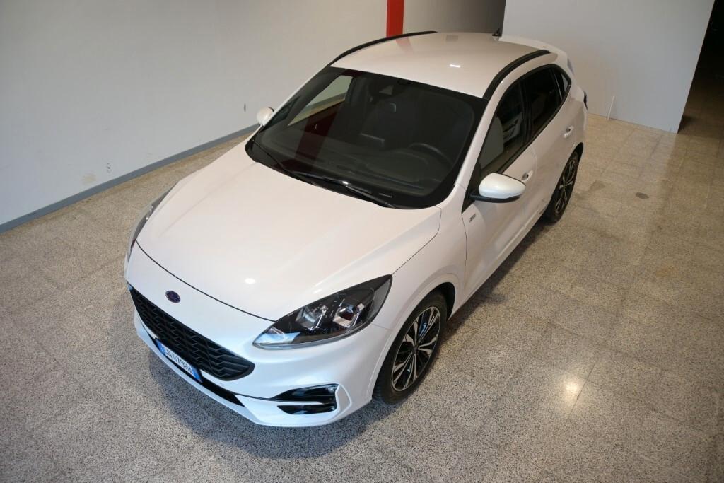 Ford Kuga 1.5 EcoBlue 120 CV aut. 2WD ST-Line