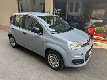 Fiat Panda 1.2 Lounge (PREZZO REALE)