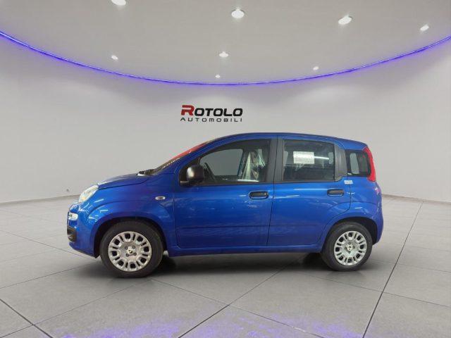 FIAT Panda 1.0 FireFly S&S Hybrid SENZA FINANZIAMENTO