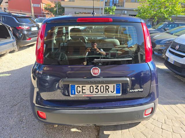 FIAT Panda 1.0 FireFly S&S Hybrid Eas 5 posti no obbligo fina