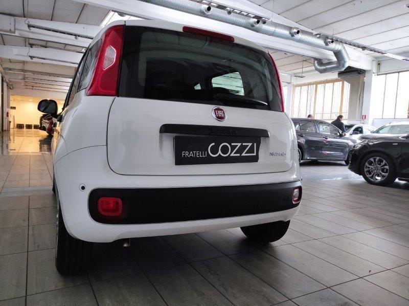 FIAT Panda 3ª serie - Panda 1.0 FireFly S&S Hybrid Icon