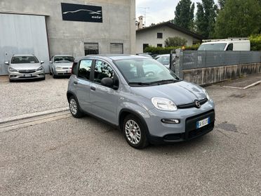 Fiat Panda 1.0 FireFly S&S Hybrid Red Ok neopatentato