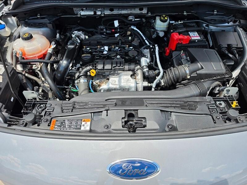 FORD NEW Kuga 1.5 EcoBlue 120CV LED NAV 8 PARK CAM