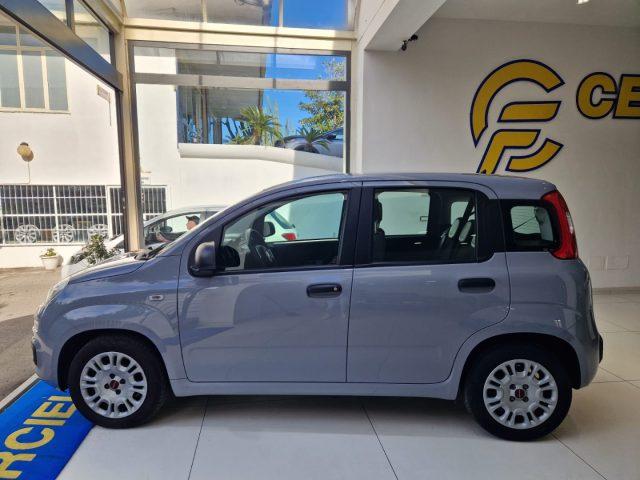 FIAT Panda 1.0 FireFly S&S Hybrid da ?119,00 mensili