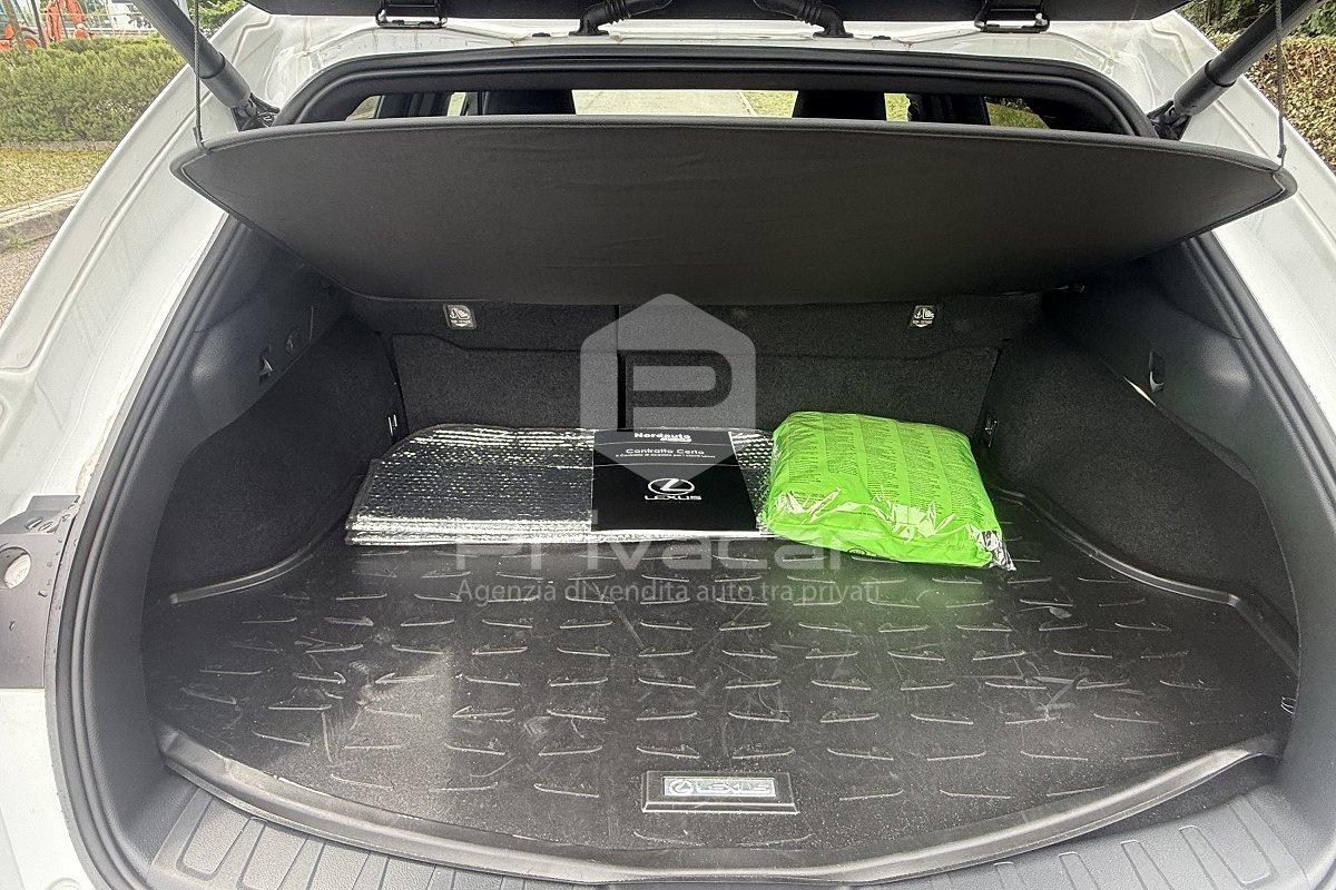LEXUS UX Hybrid F Sport
