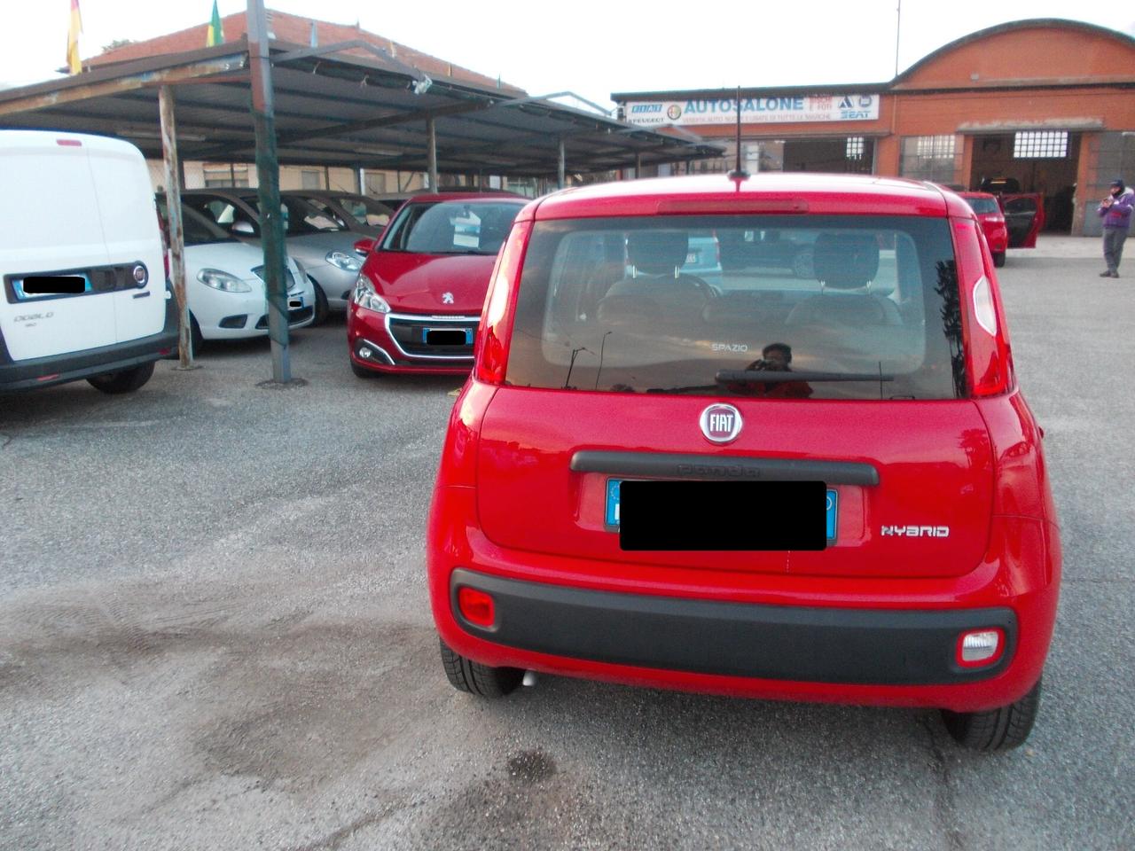 Fiat Panda 1.0 FireFly Hybrid KM31391