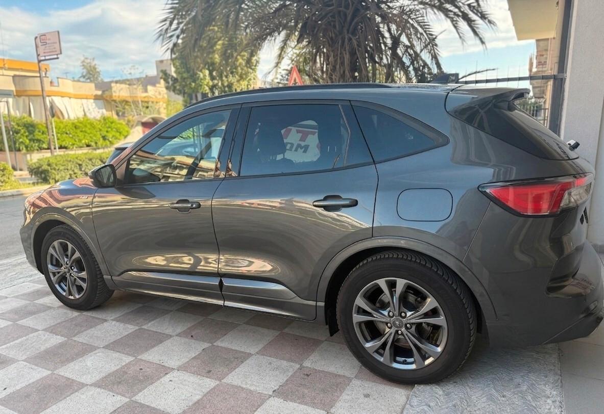 Ford Kuga 1.5 EcoBlue 120 CV 2WD ST-Line