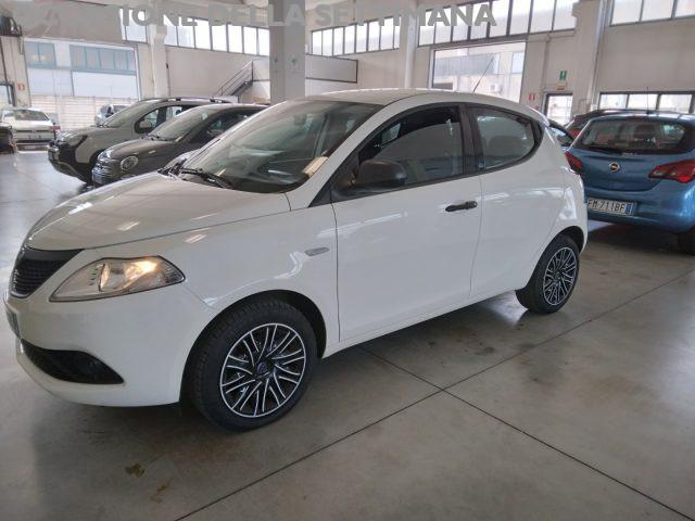 LANCIA Ypsilon 1.2 69 CV 5 porte GPL Ecochic Elefantino Blu