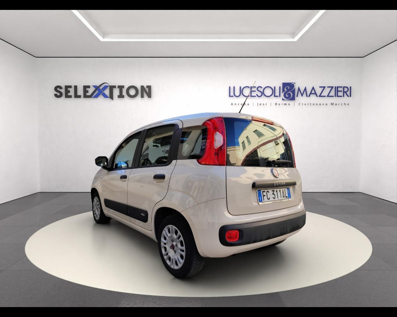 FIAT PANDA - Panda 1.2 Easy