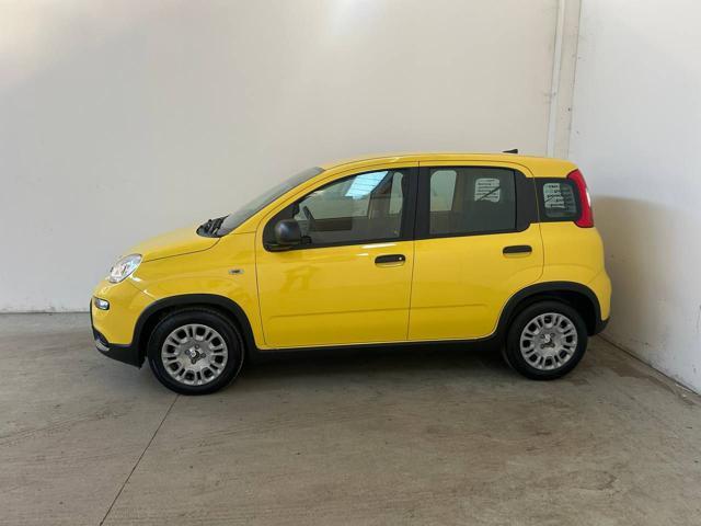 FIAT Panda 1.0 FireFly S&S Hybrid PREZZO VERO