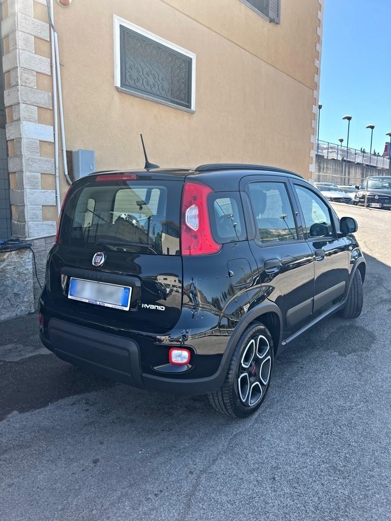 Fiat Panda 1.0 FireFly 70cv 2021