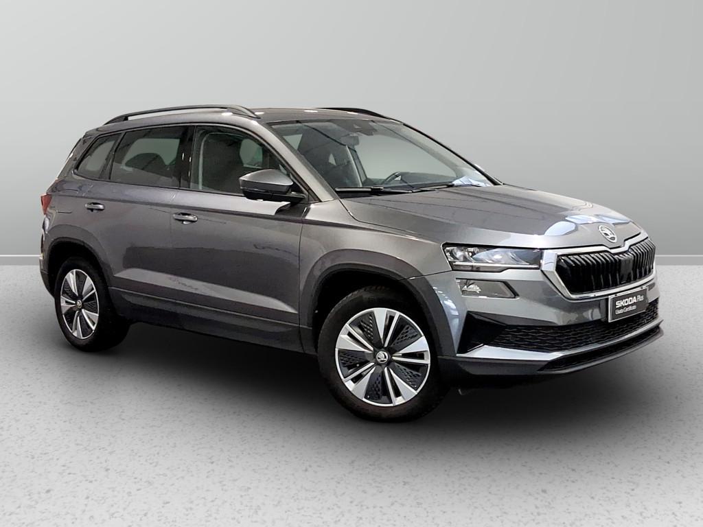 Skoda Karoq 2.0 tdi evo Executive 4x4 150cv dsg