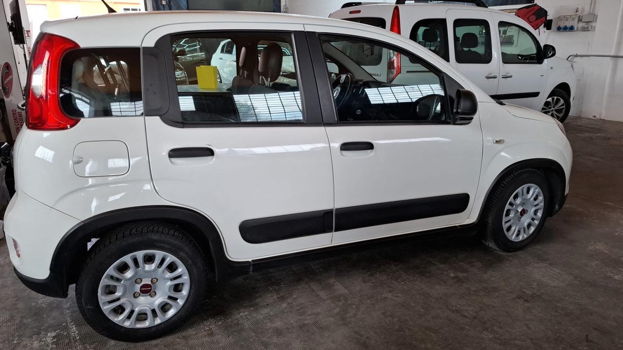 PANDA VAN 4 POSTI