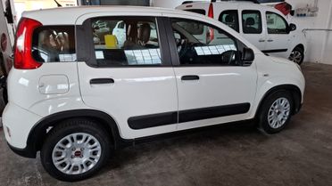 Fiat PANDA VAN 4 POSTI AUTOCARRO N1 8500VA ESPOSTA