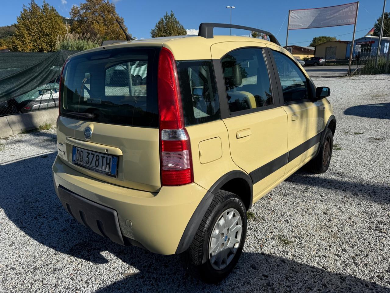 Fiat Panda 1.2 Benzina 4x4 Climbing