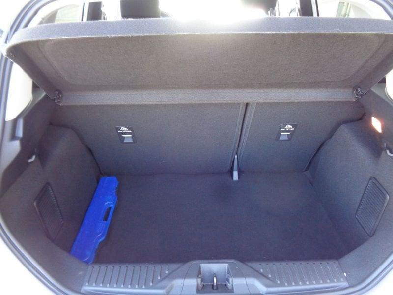 Ford Fiesta Fiesta Active X 1.0 Ecoboost Hybrid 125 CV 5 porte