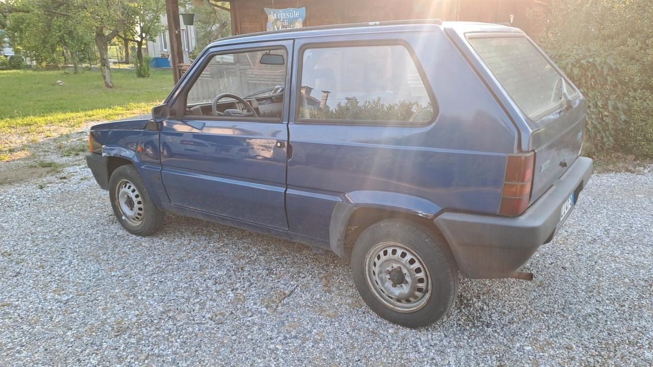 Fiat Panda 900i cat